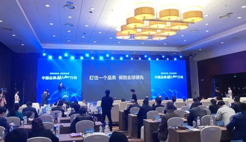 定了！美麗島進了國家隊，新華社專訪