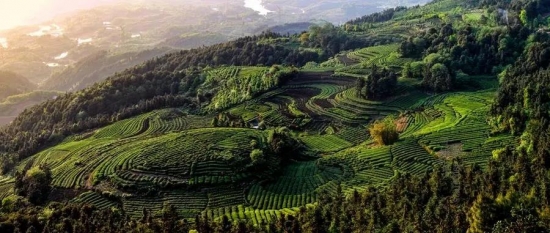 美麗島多焦鏡：這個(gè)明凈新春，以時(shí)間為軸，扶搖直上